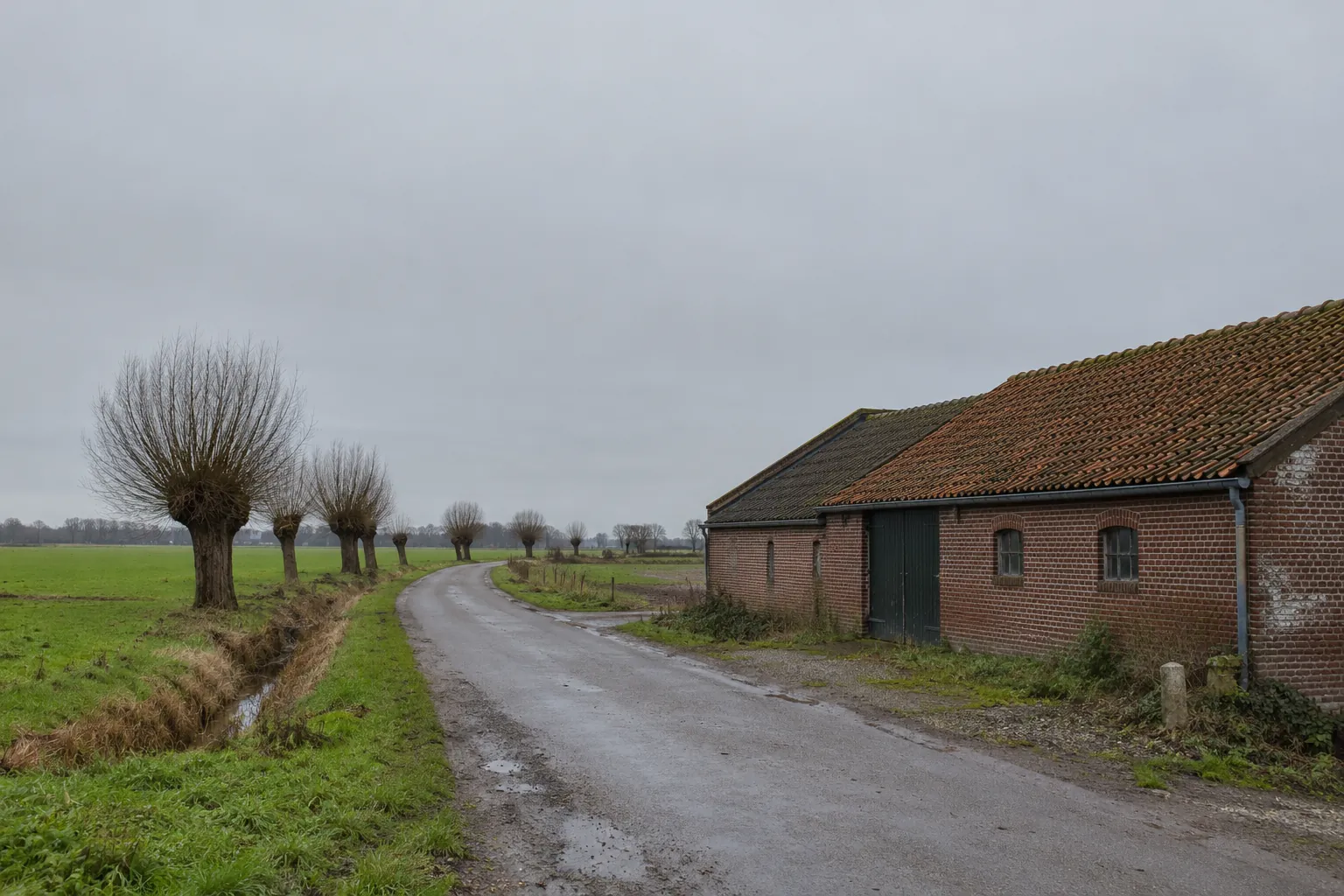 Een smalle landweg langs een sloot met knotwilgen en een bakstenen schuur met een pannendak.