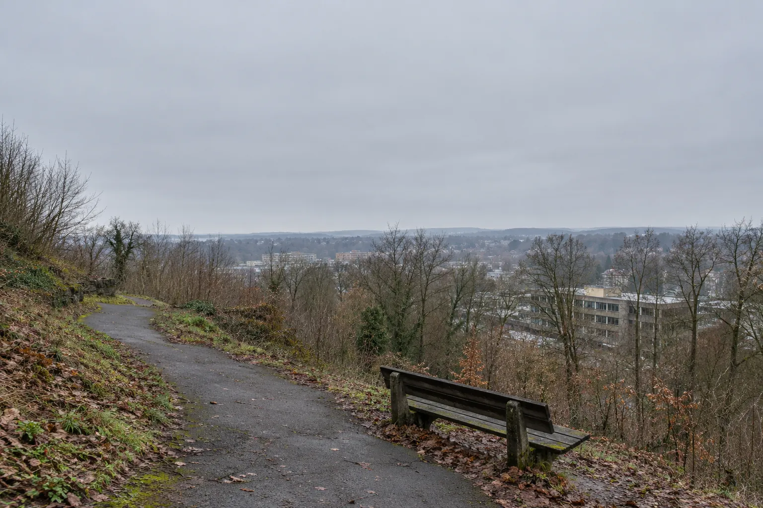 Een wandelpad met een houten bank op een heuvel, met tussen de kale bomen door uitzicht over de stad.