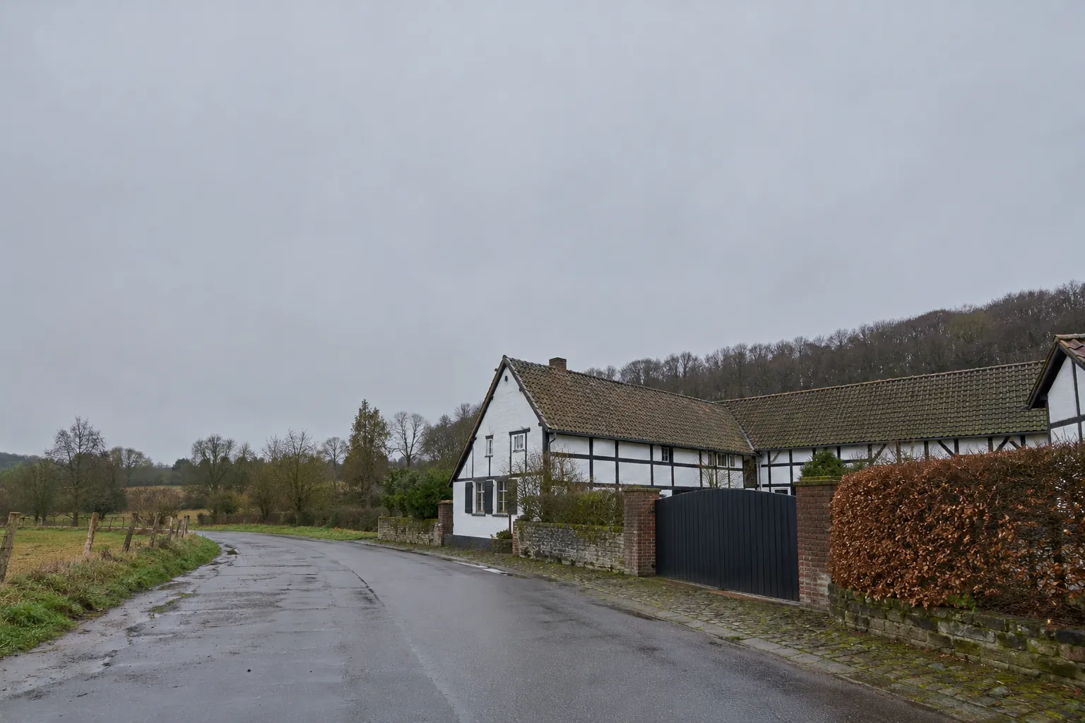 Een natte dorpsweg langs een witte vakwerkboerderij met een poort en een beukenhaag, met een beboste helling erachter.