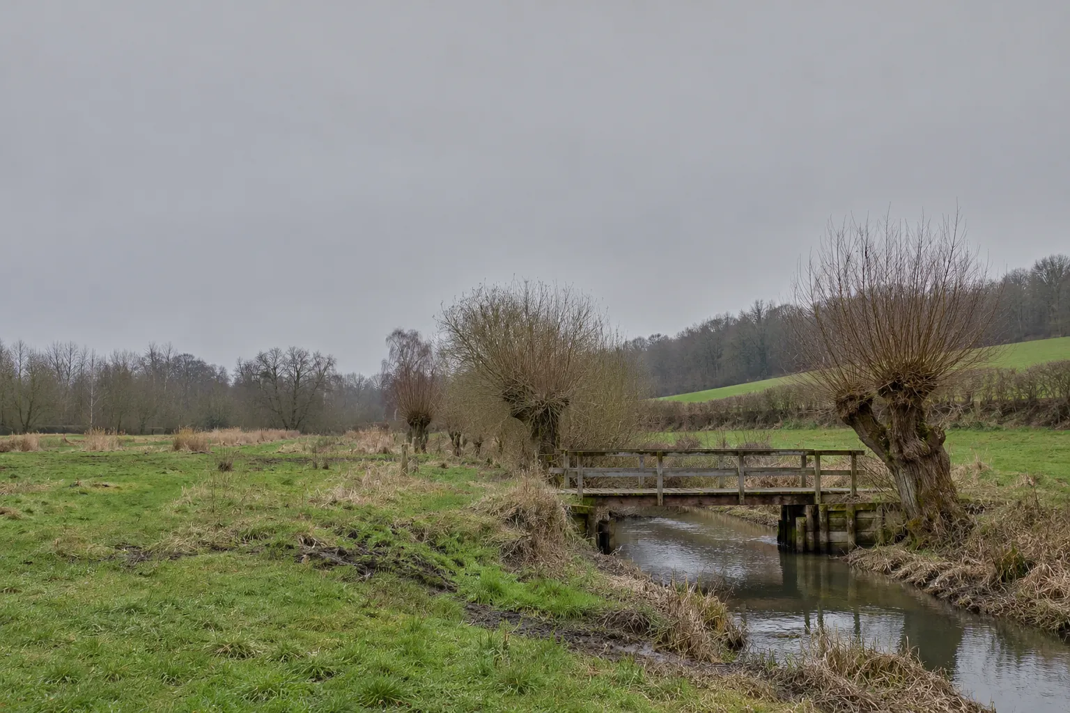 Een beek met knotwilgen en een houten vlonderbrug in een stil weidedal.